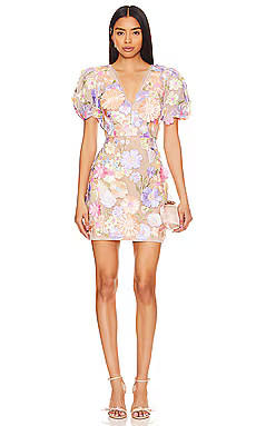 Anthea Dress
                    
                    ELLIATT | Revolve Clothing (Global)