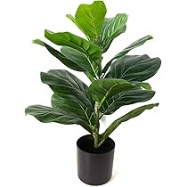 Amazon.com: BESAMENATURE 22" Artificial Mini Fiddle Leaf Fig Tree, Faux Tree Used for Home Office... | Amazon (US)