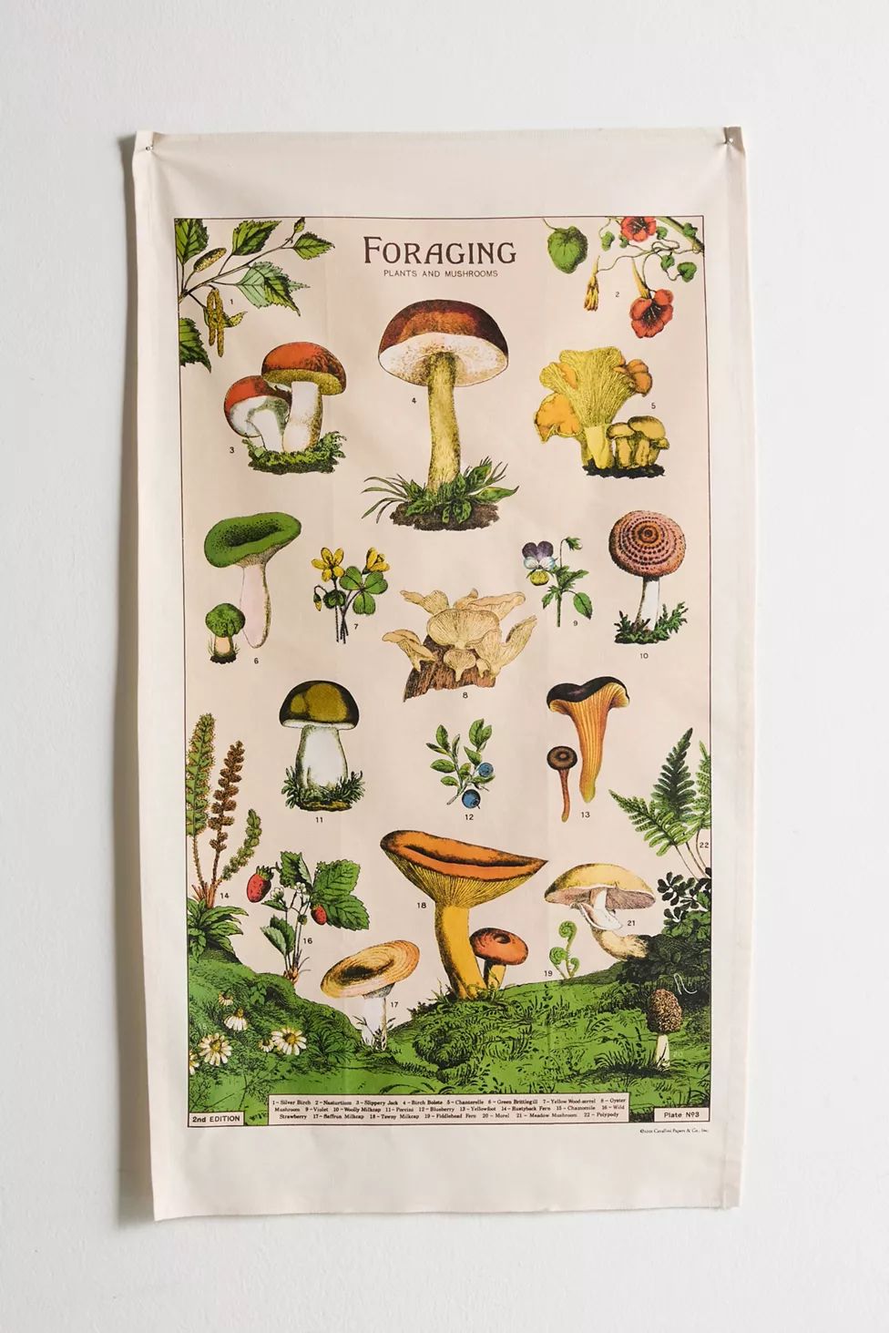 Cavallini Papers Plant Specimen Reference Tapestry | Urban Outfitters (US and RoW)