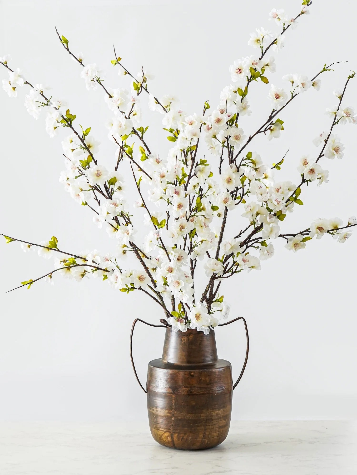 Beautiful Cherry Blossom Stems

Spring decor
Stems

#LTKHome #LTKSeasonal