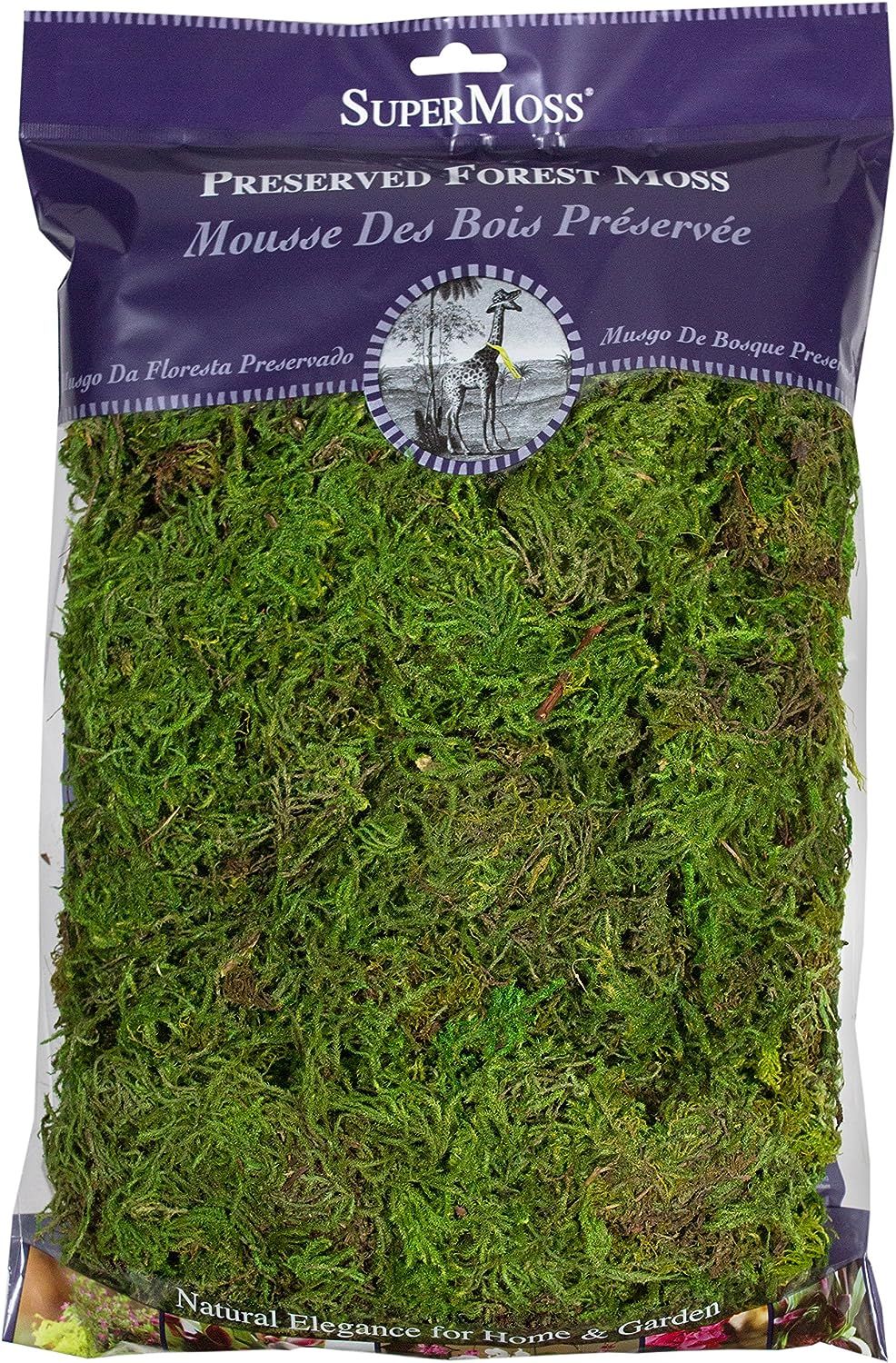 SuperMoss (25322) Forest Moss Preserved, Fresh Green, 8oz | Amazon (US)