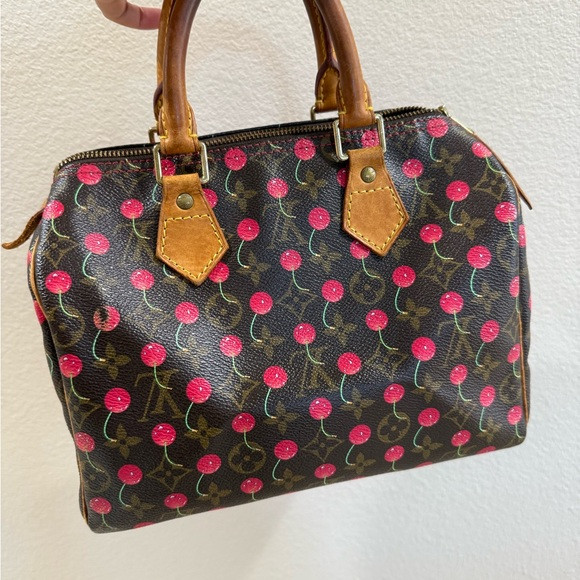 Louis Vuitton Cherry Cerise Speedy 25 | Poshmark