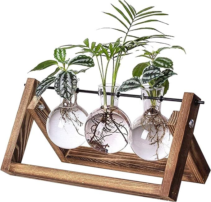 Kingbuy Glass Desktop Planter with Retro Wooden Stand and Plant Terrarium Vase (3 Bulbs) for Indo... | Amazon (US)
