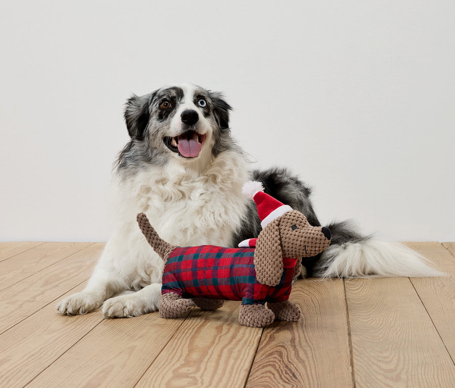 Hunde-Plüschspielzeug »Dackel« bei Tchibo kaufen | 211398 | Tchibo (DE)