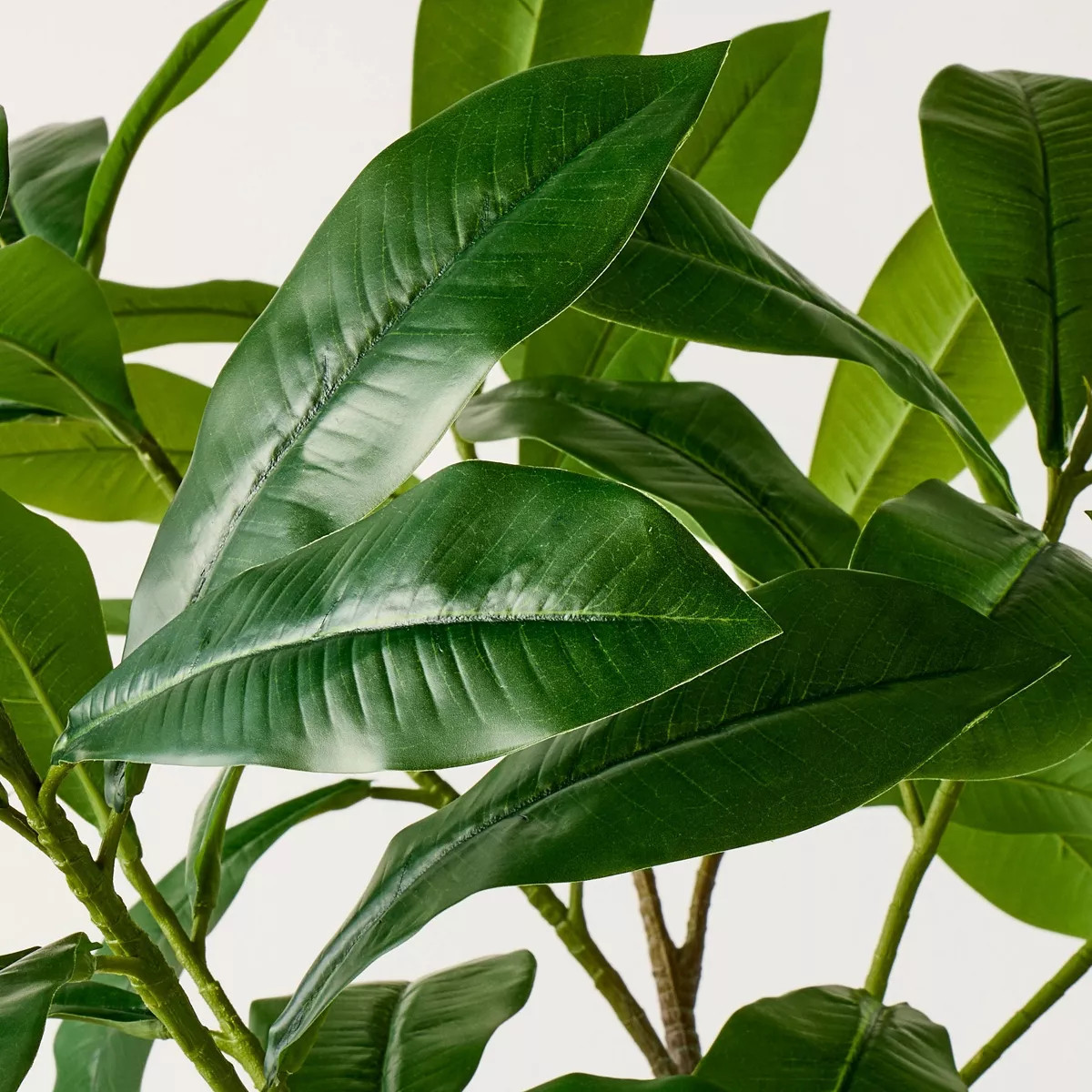 72" Plumeria Artificial Tree - Hearth & Hand™ with Magnolia | Target