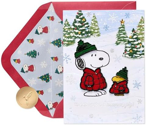 Papyrus Peanuts Holiday Card with Snoopy & Woodstock, Festive Christmas Card for Anyone (Stay Coz... | Amazon (US)