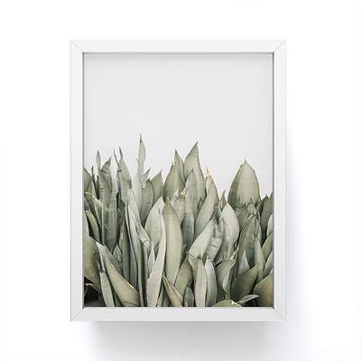 Romana Lilic / LA76 Photography Moonshine Snake Plant Framed Mini Print - Society6 | Target