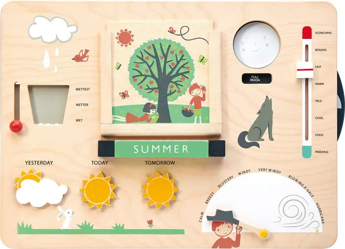 Tender Leaf Toys Weather Watch Board | Nordstrom | Nordstrom