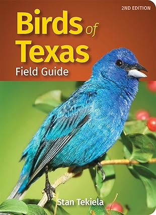 Birds of Texas Field Guide (Bird Identification Guides) | Amazon (US)