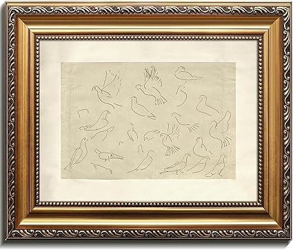 Kizbok Gold Framed Wall Art for Home Decor, Vintage Birds Sketch Line Art Prints, Minimalist Bird... | Amazon (US)