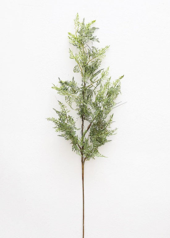 Artificial Baby's Tears Fern Branch - 36 | Afloral (US)