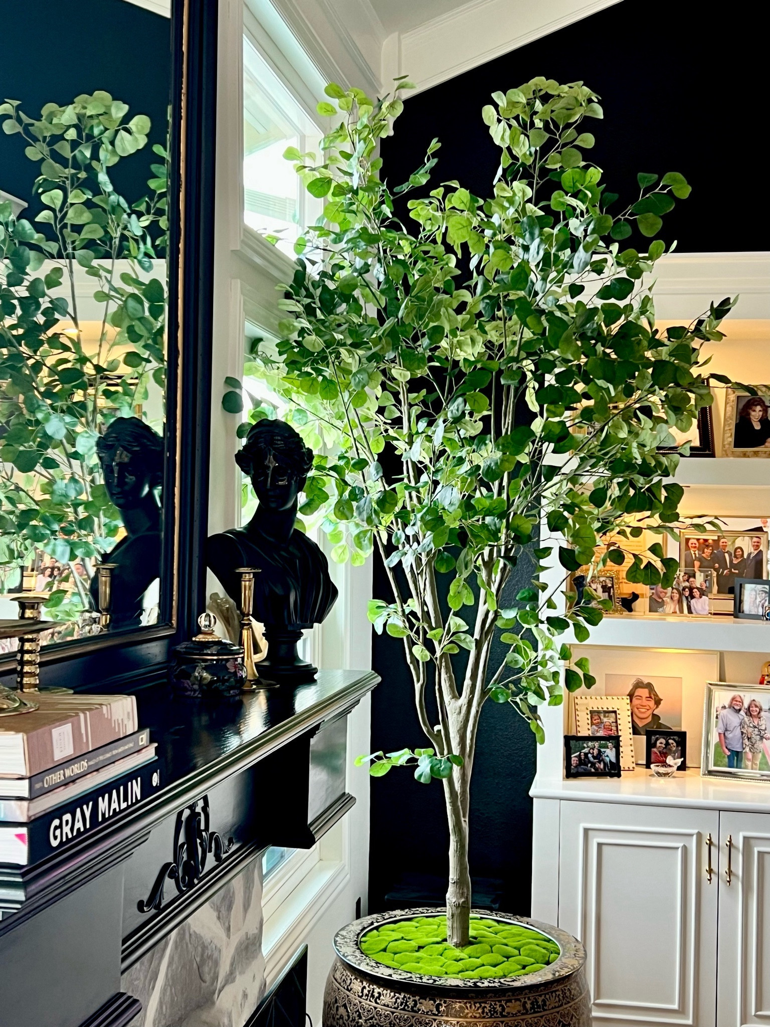 New year. New tree. New moss. Vintage pot. NO MAINTENANCE 😜
A bit of a splurge but the quality is unmatched  

#LTKstyletip #LTKhome