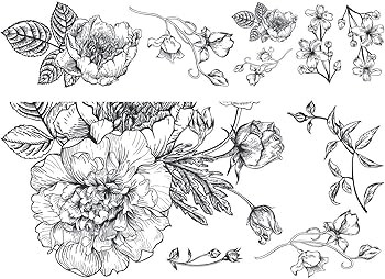 RoomMates RMK3865GM Black and White Peony Peel and Stick Giant Wall Decals | Amazon (US)