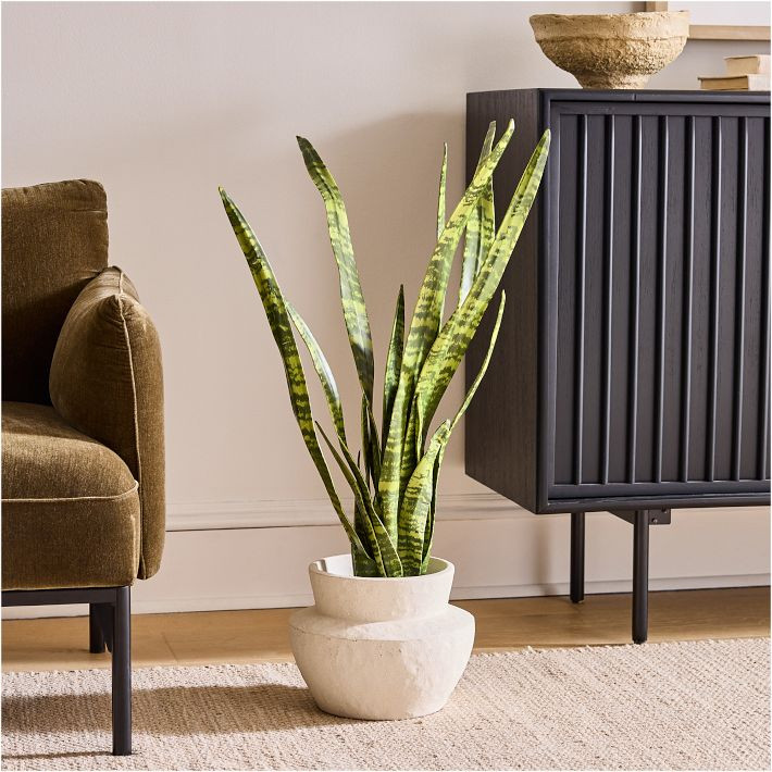 Faux Potted Snake Plant | West Elm (US)