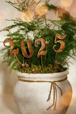 2025 Iron Stakes, Set of 4 | Terrain