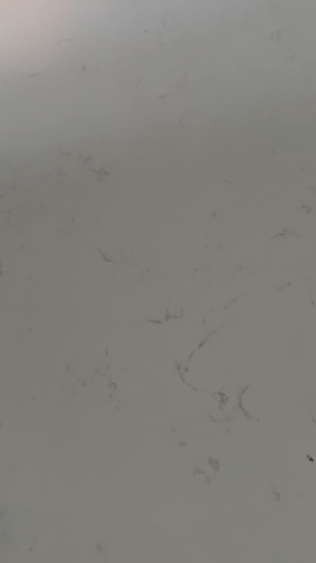 Toddler kitchen find - wooden christmas cookies! Perfect gift to play with all holiday season long. 🎄

#LTKSeasonal #LTKHoliday #LTKKids