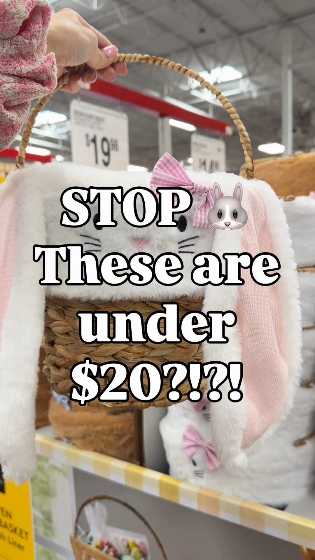 When cute and affordable exist 👏 These Easter baskets are under $20 and look way more expensive. A total mom win!! 

#LTKmomlife #LTKKids #LTKSeasonal