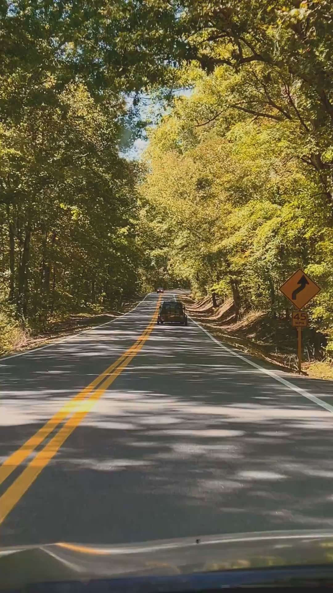 Cruising through a canopy of fiery fall foliage, where every turn unveils nature's masterpiece. 🍁 The golden hues of October leaves, the crisp air and the gentle sunlight streaming through the trees make an autumn road trip unforgettable. I've linked the best autumn road trip essentials: an insulated jacket, fall-themed travel mugs, cute beanie and waterproof boots, car organizer and travel pillow, and so much more! ✨ 

 #LTKSeasonal #LTKSaleAlert #LTKTravel
