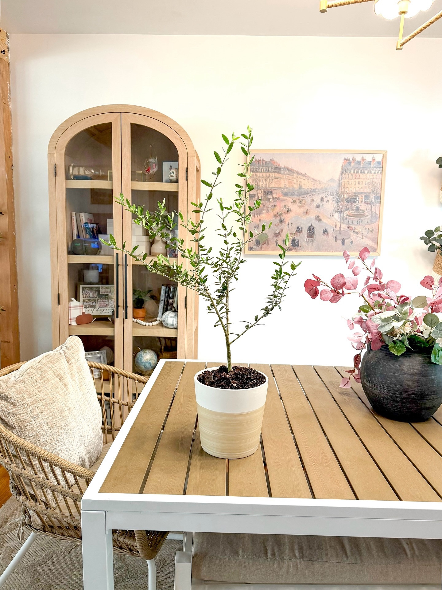 Oh you know I’m just over here buying more plants 🪴 
You can never have enough plants, right?!



#LTKSeasonal #LTKFamily #LTKHome