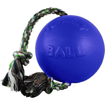 Jolly Pets, Inc. Romp-n-Roll Ball Dog Toy Color: Blue 8" | Target