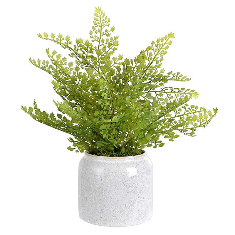 Fern Arrangement in Ceramic Pot, 15" | At Home