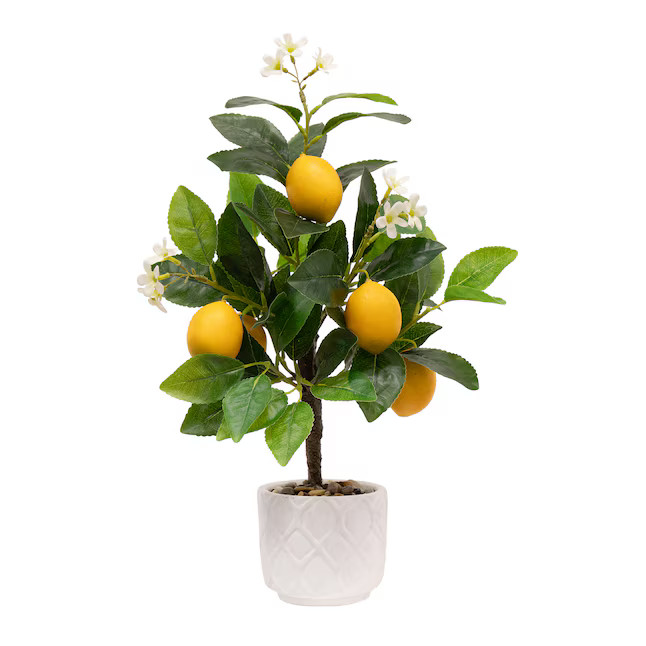 allen + roth 17in LEMON Plant | Lowe's