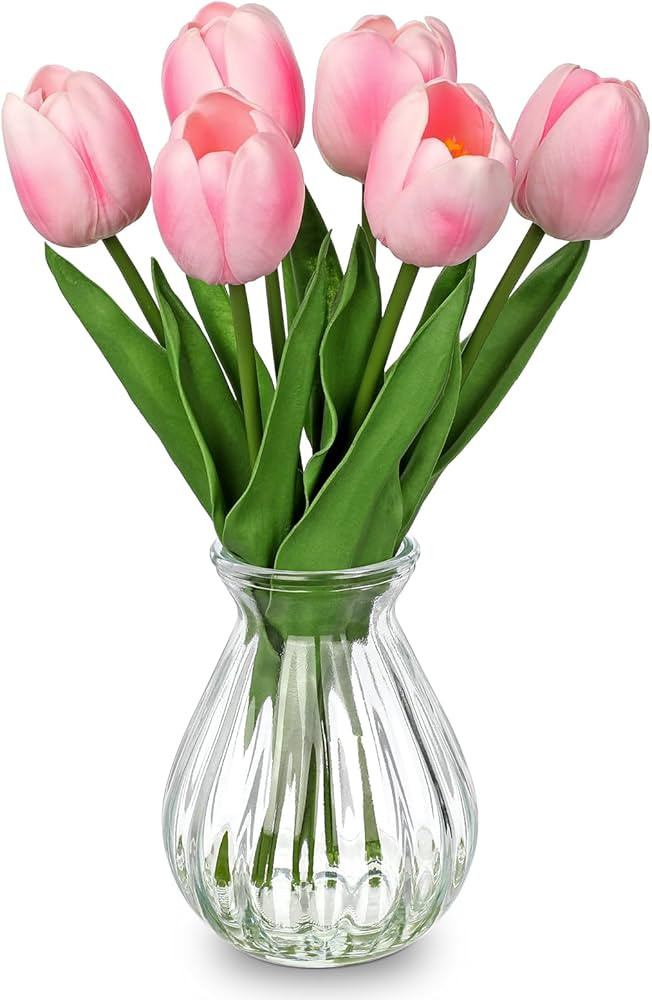 Artificial Tulips Flowers in Glass Vase - 6 Pcs Faux Flowers in Vase with Faux Water 12.5" Fake T... | Amazon (US)