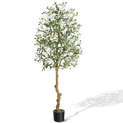 Olive Trees Artificial Indoor, 6FT Tall Olive Tree Plants, Faux Olive Tree with Realistic Trunk, Leaves, Fruits for Home Office Decor | Target