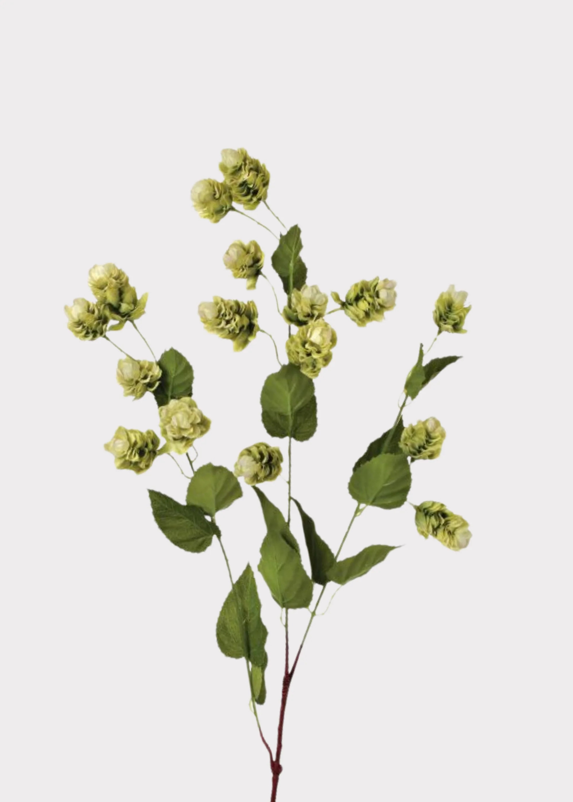Artificial Hops Greenery Branch - 39 | Afloral