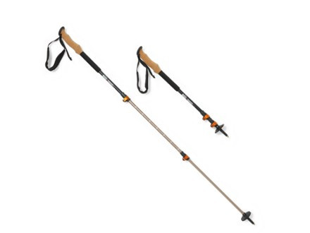 REI Co-op   Traverse Trekking Poles - Pair | REI