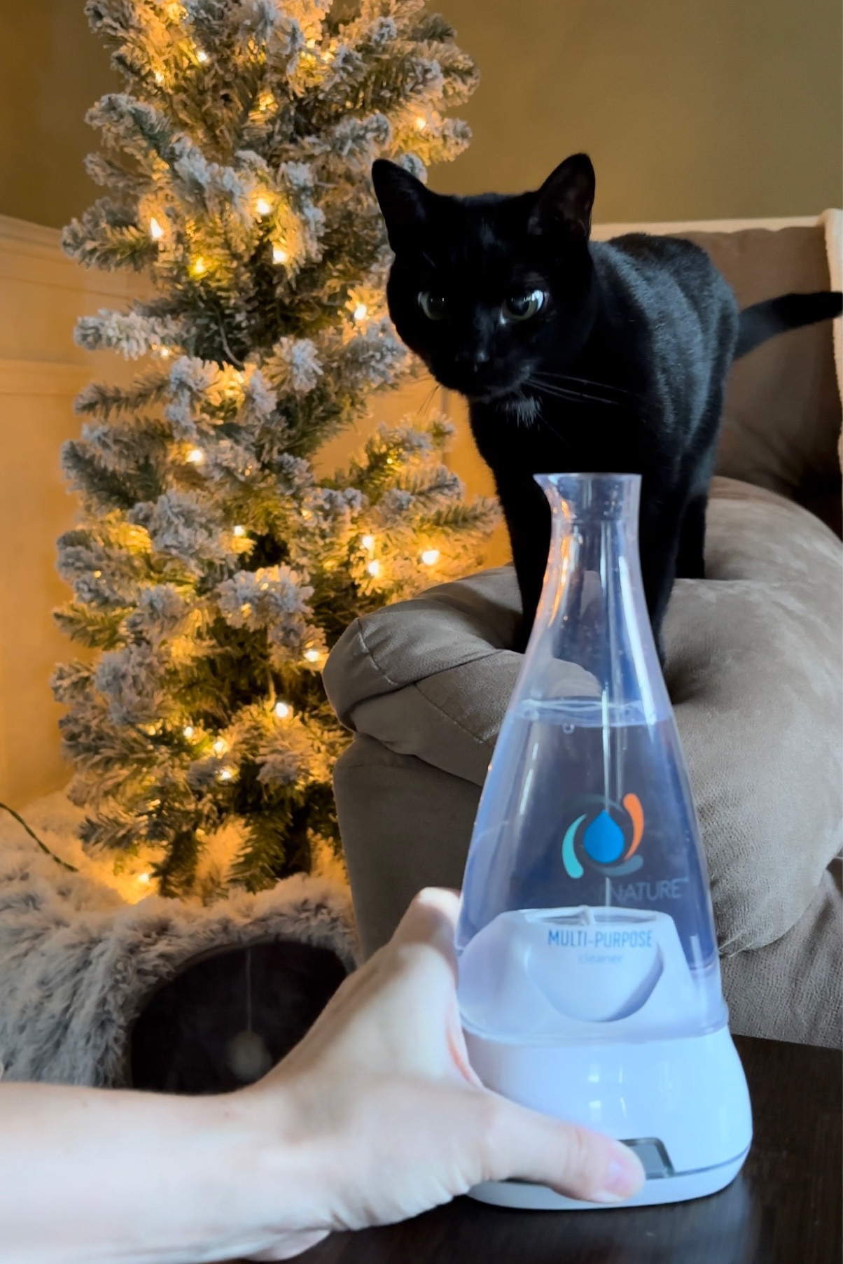 The cleaning spray we use around our cats & toddler! 