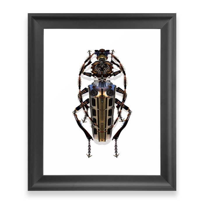 Long-Horned Beetle Framed Art Print by colinlammie | Society6