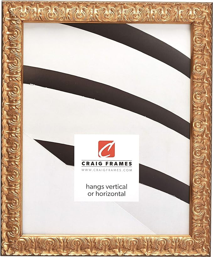 Craig Frames Versailles Picture Frame, 24 x 36 Inch, Gold | Amazon (US)
