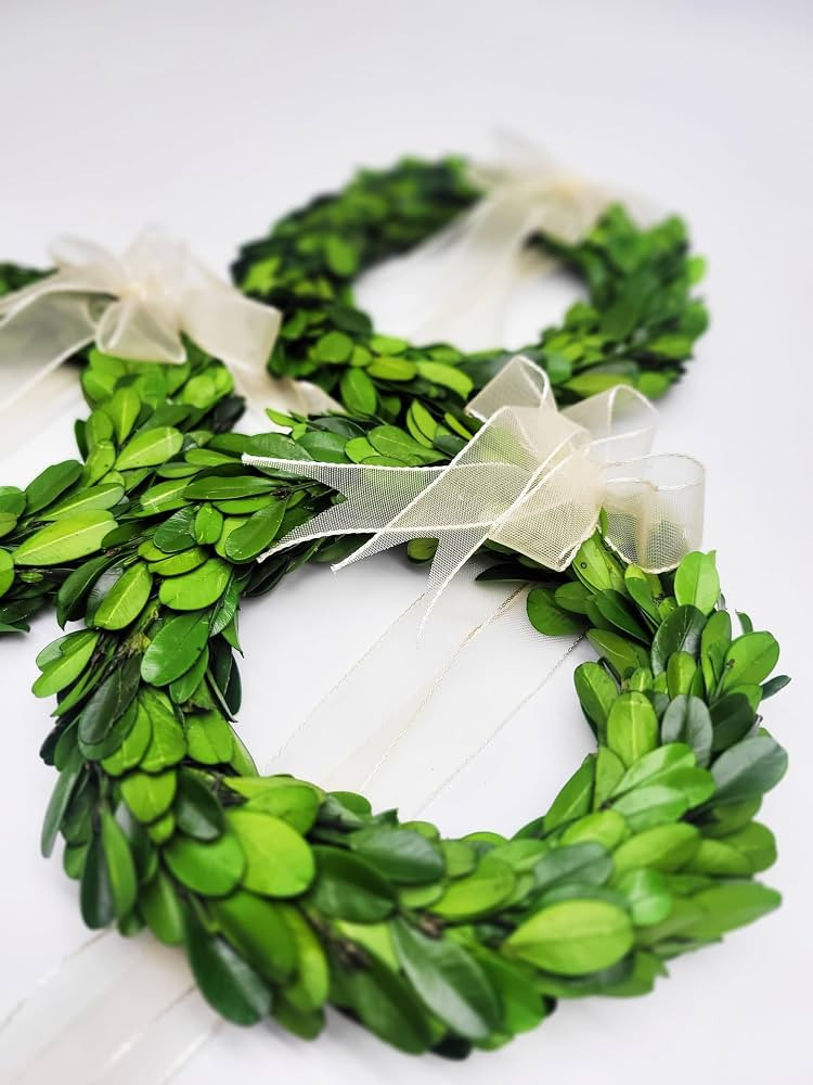Preserved Boxwood Wreath Mini 6 inch Preserved Boxwood Round Wreath Rustic Decor Farmhouse D\u00e... | Amazon (US)