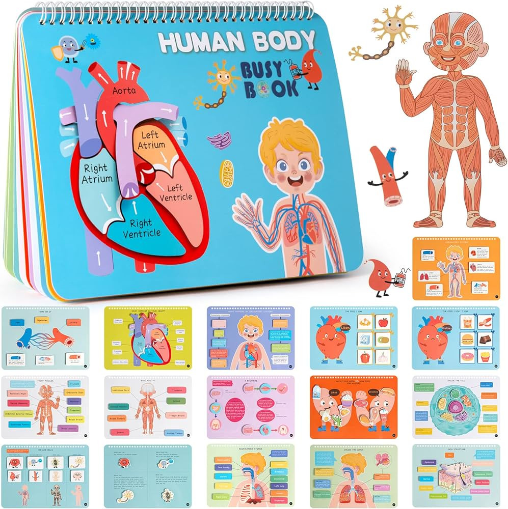 Freebear Montessori Busy Book for Kids, Human Body Anatomy Book for Toddlers, Preshool Kindergart... | Amazon (US)