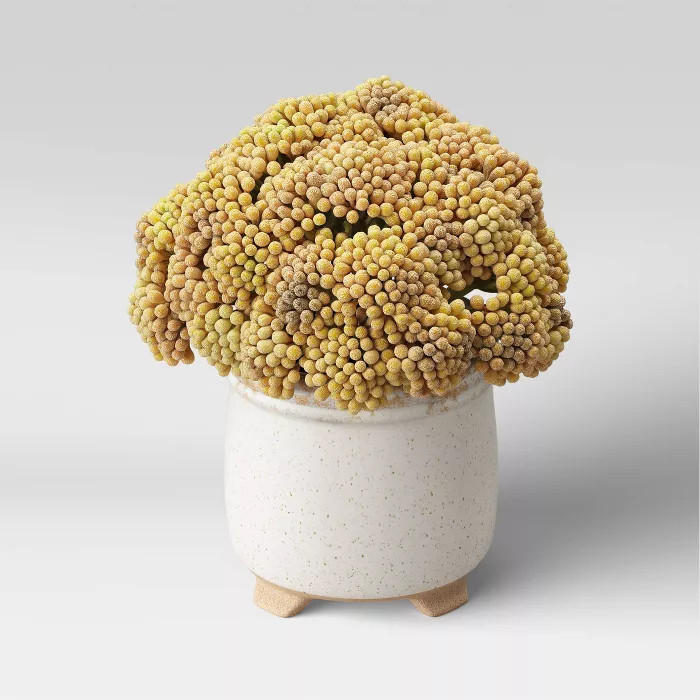 7.5" x 7" Artificial Trachelium Arrangement in Ceramic Footed Pot - Threshold™ | Target