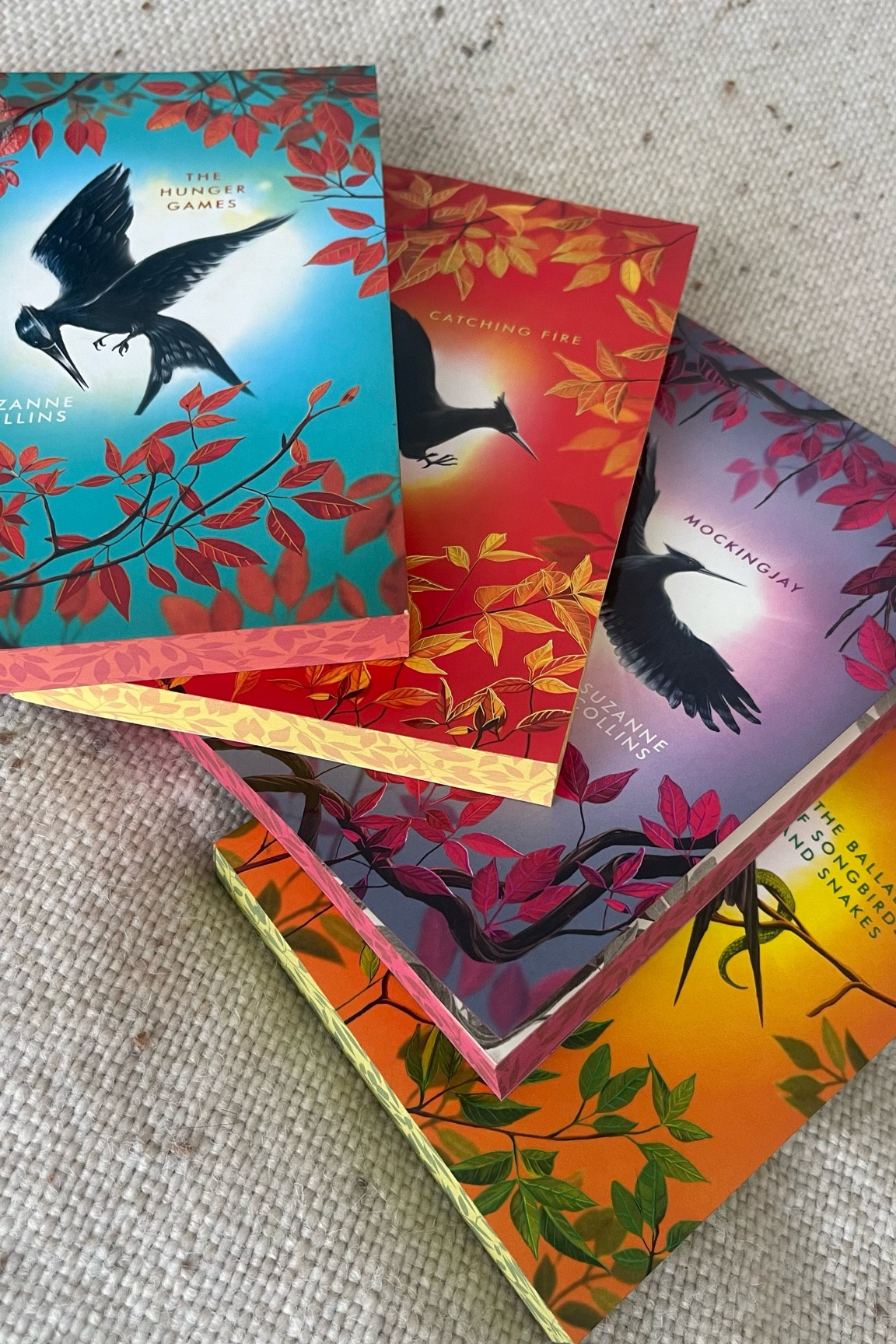 Special Edition Sprayed Edges - The Hunger Games 



#LTKHome