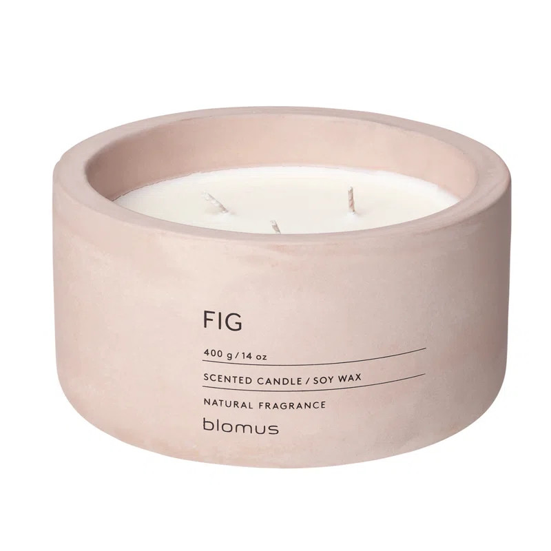 Blomus FRAGA Fig Scented Candle & Reviews | Wayfair | Wayfair North America