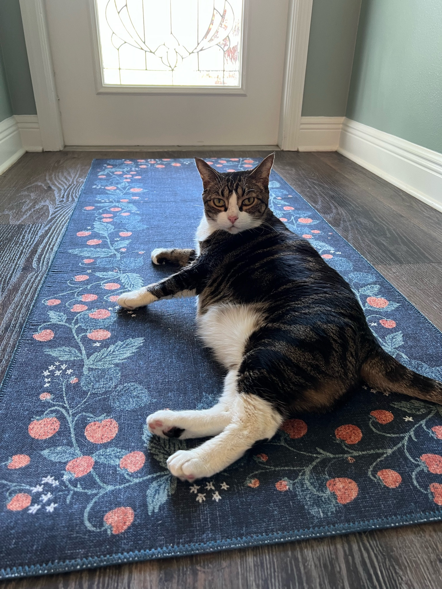Louis looking majestic on our new entryway rug ❤️🐾✨

#LTKhome #LTKfamily #LTKSeasonal