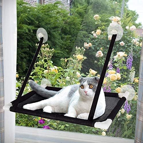 Tempcore Cat Window Perch, Cat Window Perch for Large Cats, Cat hammocks for Indoor Cats, 4 Sucti... | Amazon (US)