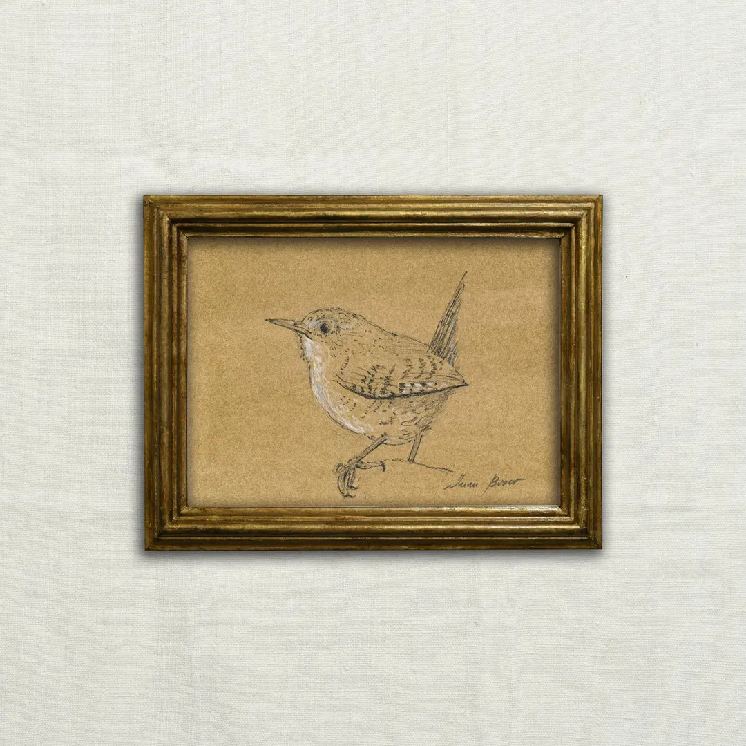 Original, NOT A PRINT - Wren Art, Wren Charcoal Sketch, Minimal Wren, Troglodytidae Drawing, Wren... | Etsy (US)