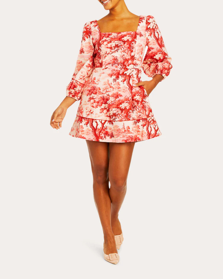 Mestiza Women's Valeria Printed Cotton-Poplin Mini Dress in Burgundy Red Cotton/Spandex | Olivela