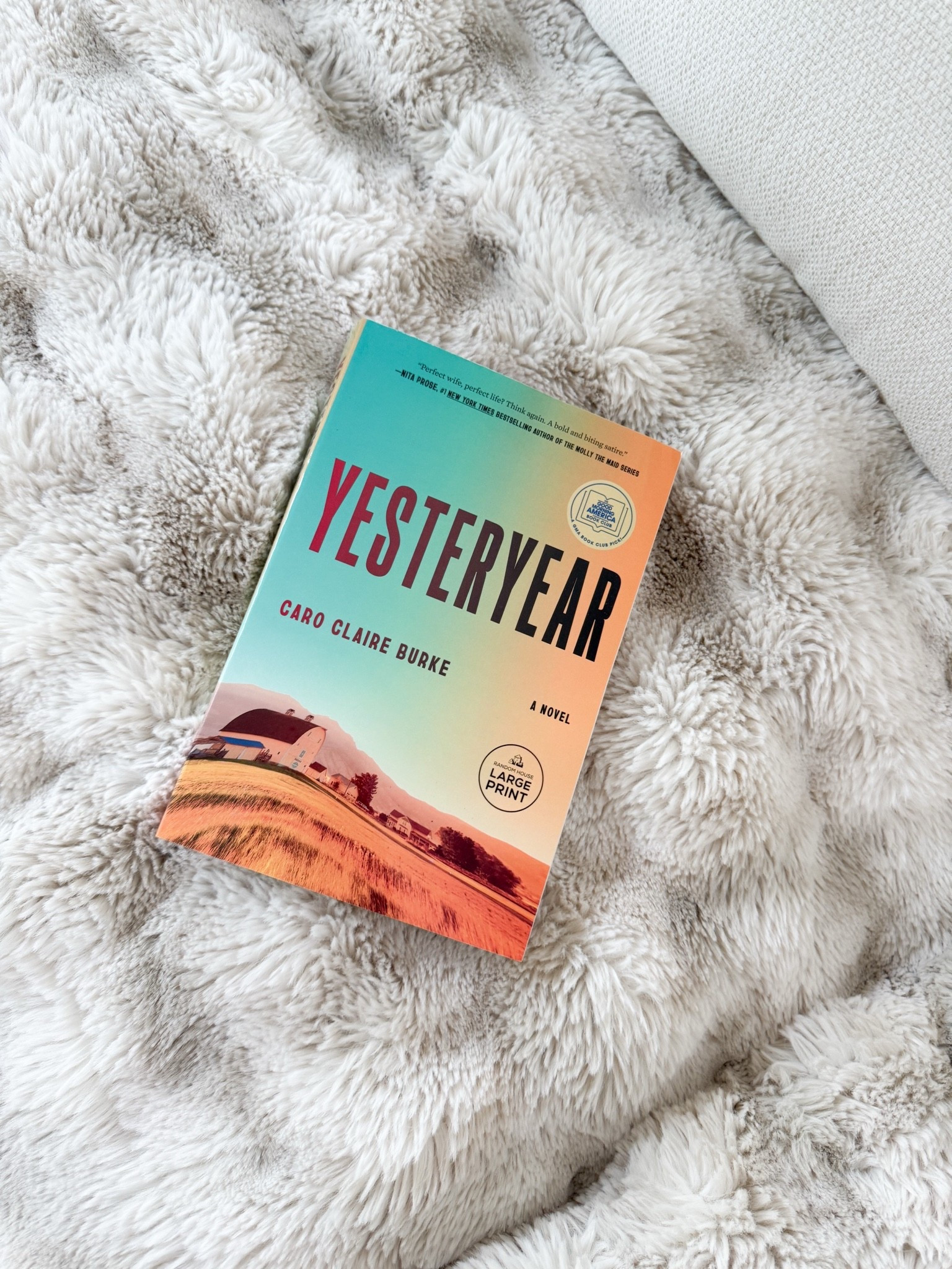 This book based on a trad wife gone 🤷🏽‍♀️ is on everyone’s nightstand — including mine.

#LTKOver40 #LTKmomlife