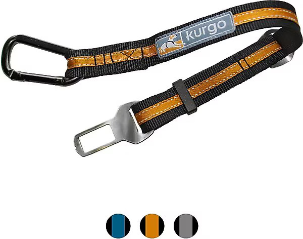Kurgo Direct to Seat-Belt Tether | Chewy.com