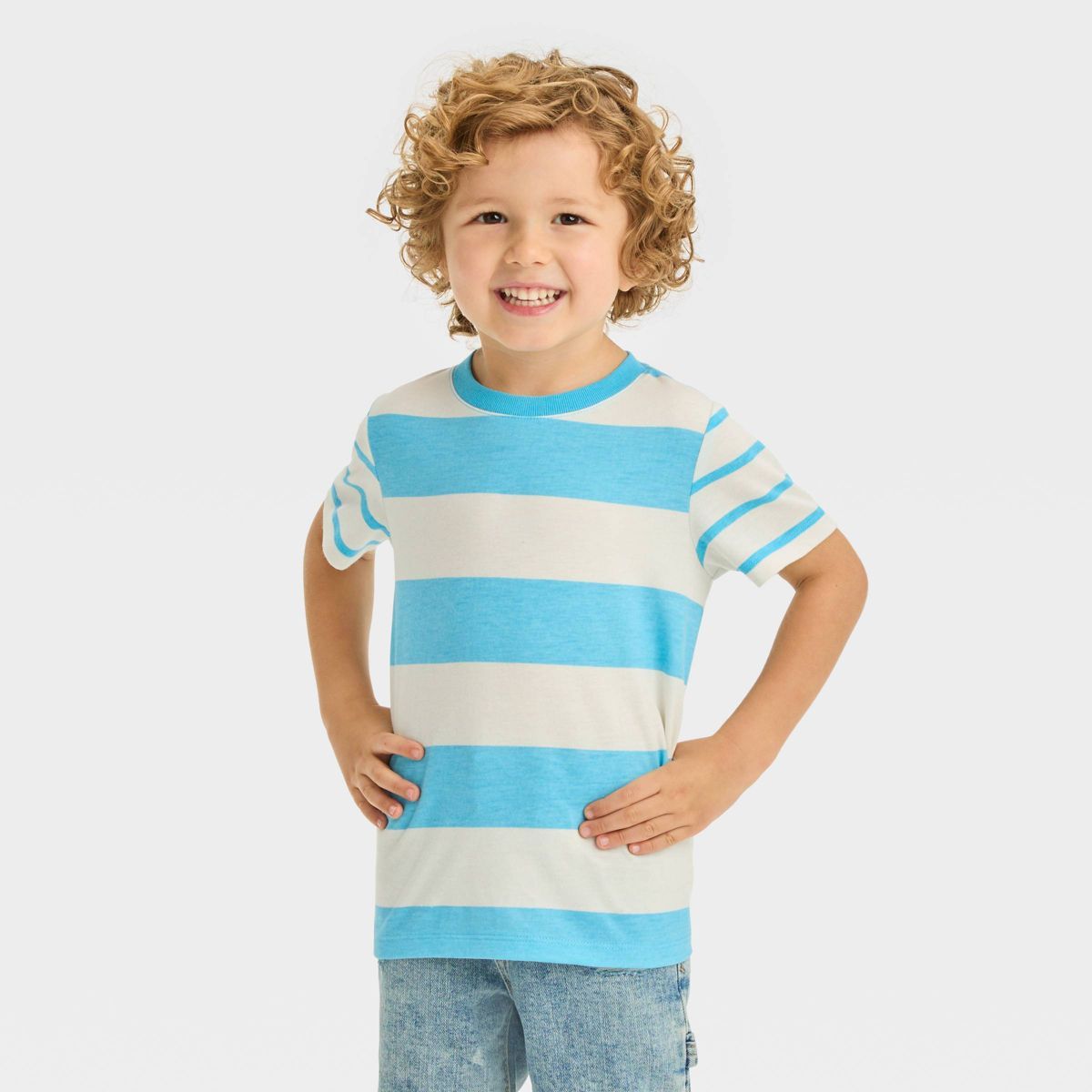 Toddler Boys' Short Sleeve Jersey Knit T-Shirt - Cat & Jack™ | Target