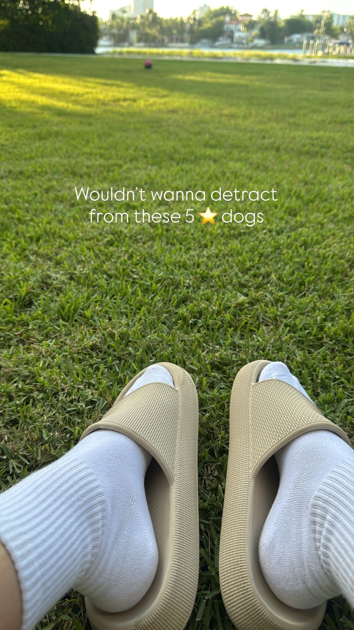 The comfiest everyday slides