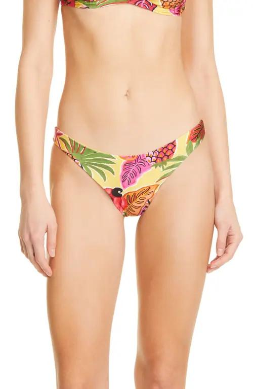 FARM Rio Fruit Dream Bikini Bottoms at Nordstrom, Size X-Large | Nordstrom