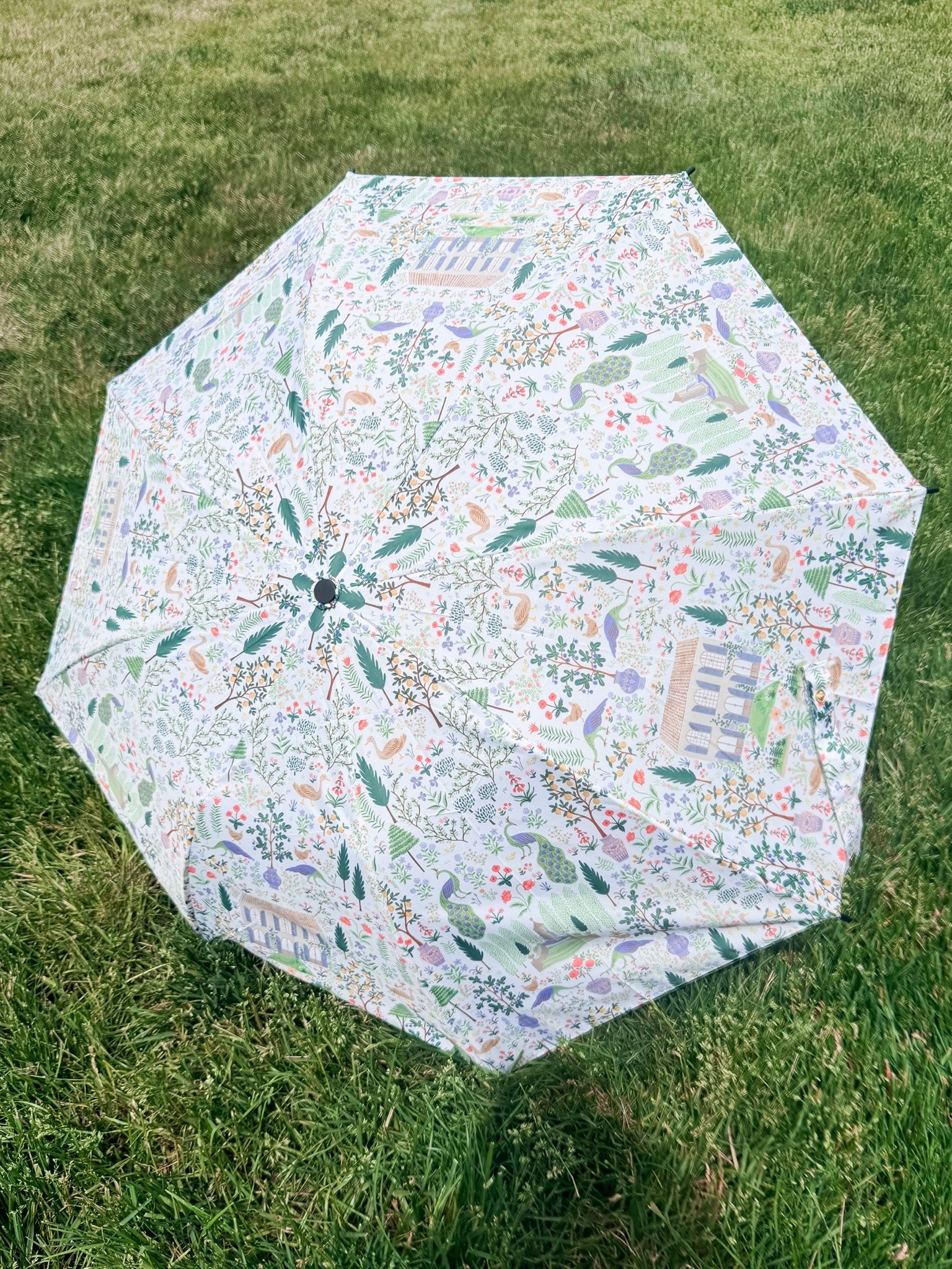 Make these rainy days just a little bit better 🌧️🌂.  

The Rifle Paper Co. Umbrella is 25% off today.  🌺🍃🌺🍃🌺🍃

With the duck head handle, it’s the little things in life.  

There are 10 different styles.  This is the camont style.

#LTKSeasonal #LTKActive #LTKSaleAlert