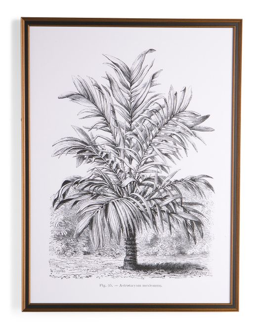 30x40 Palm With Ornate Frame Wall Art | Marshalls