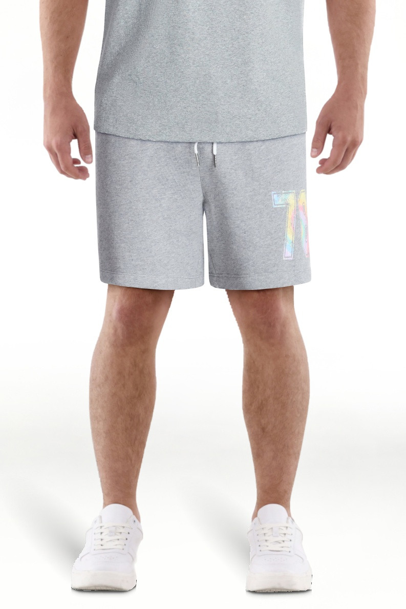 No Boundaries Pride Shorts, 5" inseam, Men's Sizes XS-5XL | Walmart (US)